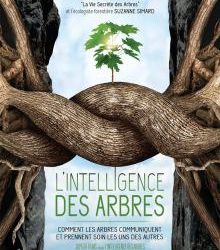 Conférence: L’intelligence des arbres