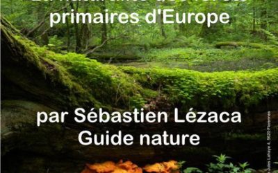 Conférence: Les forêts naturelles d’Europe
