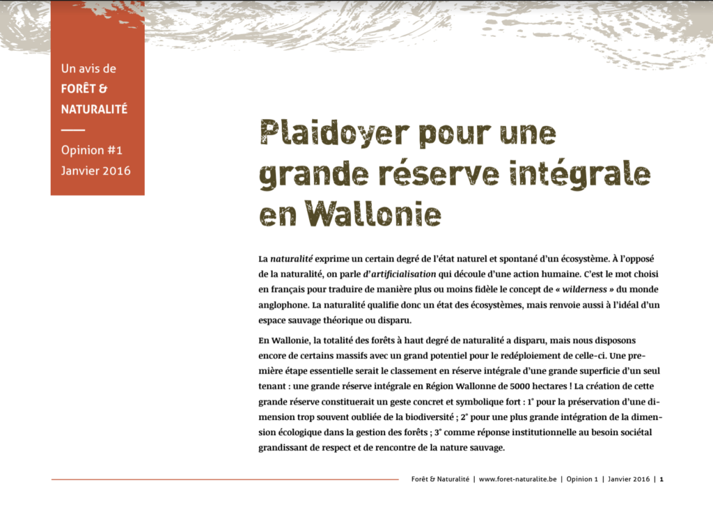 Plaidoyer pour une grande réserve intégrale en Wallonie