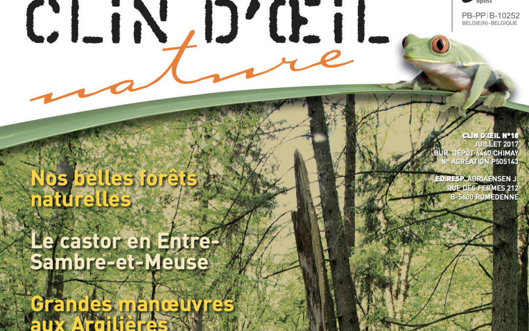 Clin d’œil – Our beautiful natural forests …