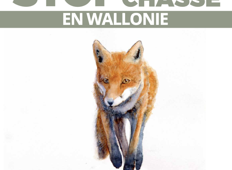 Het Collectif Stop aux Dérives de la Chasse publiceert een Witboek! (FR)